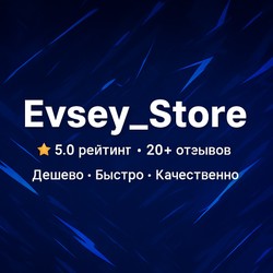 evseystore