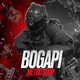 BOGAPI