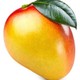 Ligmamango