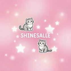 shinesalle