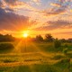 world_traveller