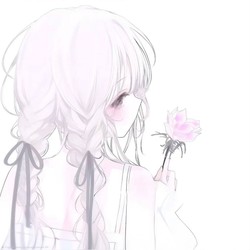 Kashimo
