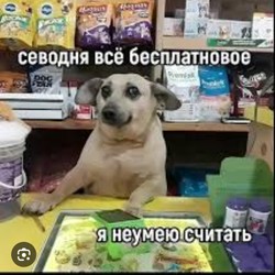 EgorNolimitTrade