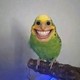 ScaryParrot