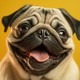 MOPS_SHOP