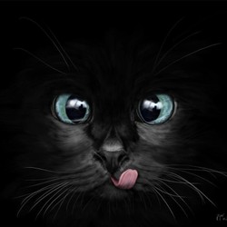 BICKASTORR