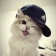 Mr_shop