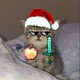 yaromir369