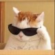 Artem1CFLQWM