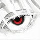 zheka70557