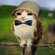 WinterFox405475