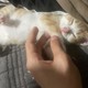 topik1