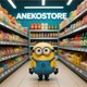 AnekoStore