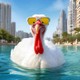 WhiteTurkey