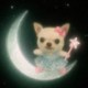 ask23pp