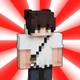 ZervikMC
