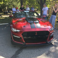 Bashkova73