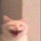 Wairor