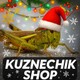 Kuznechikshop