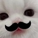 bachawoo