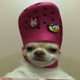 XmonsTerx