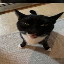 timrbxxx