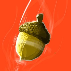 HotAacorn