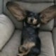 Tden4ikt