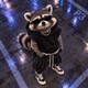 RacoonShop