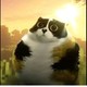 Sanya_6739