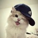 Mr_shop