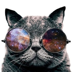 Wikz