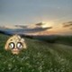irisiksooo