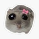 PIpsun