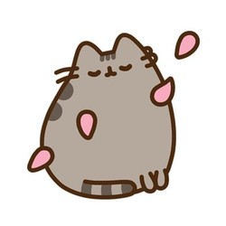 aminkins