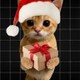 xemaShop