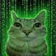 egor216542