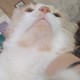 Kotuuuuuu
